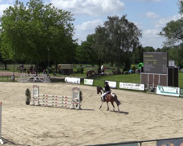 Reitturnier Hamm-Rhynern 2022