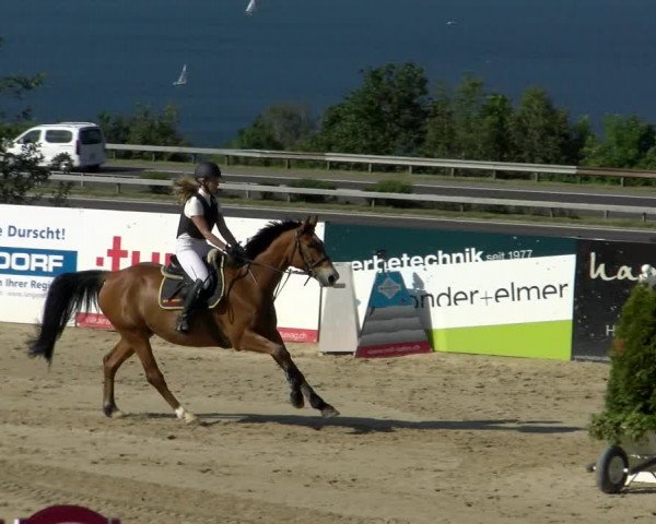 Reitturnier Wädenswil 2022