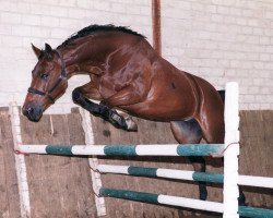 broodmare Winnie G.G. (Hanoverian, 1991, from Wanderer)