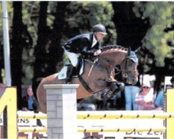 stallion Camporado B (Holsteiner, 1993, from Campione)