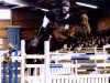 horse Contara (Mecklenburg, 1994, from Contender)