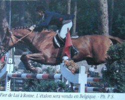 stallion Fier de Lui Z (Selle Français, 1971, from Rantzau xx)