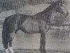 stallion Rassenstein (Bavarian, 1983, from Rasso)