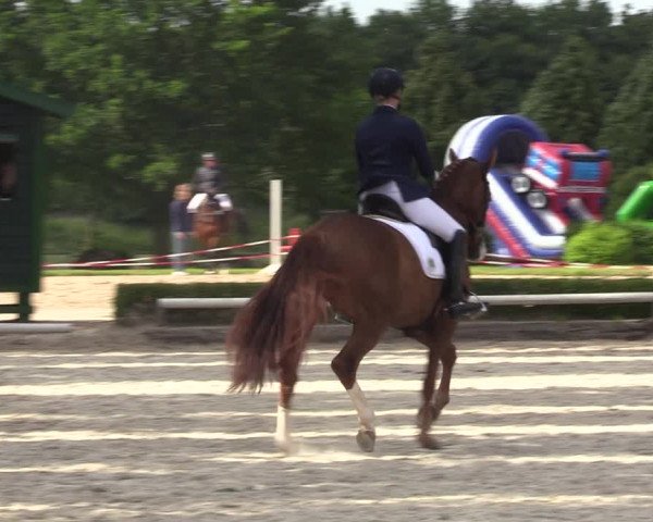 Reitturnier Hamm-Rhynern 2022