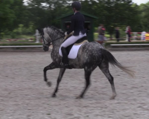 Reitturnier Hamm-Rhynern 2022