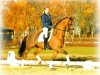 broodmare Zara K (KWPN (Royal Dutch Sporthorse), 2008, from Zodiak)