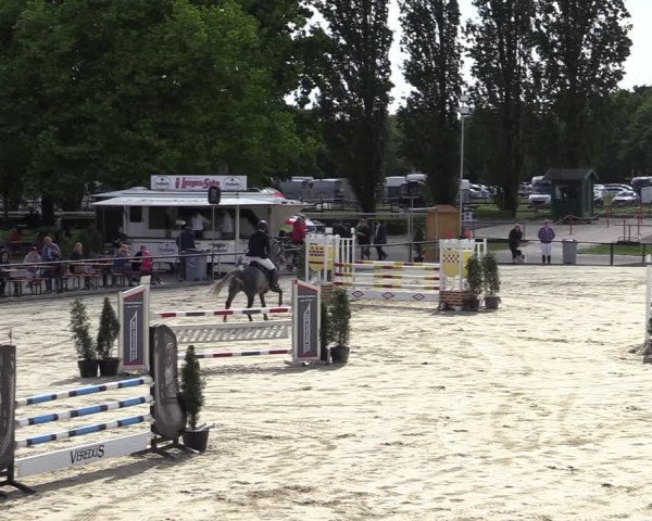 Reitturnier Hamm-Rhynern 2022