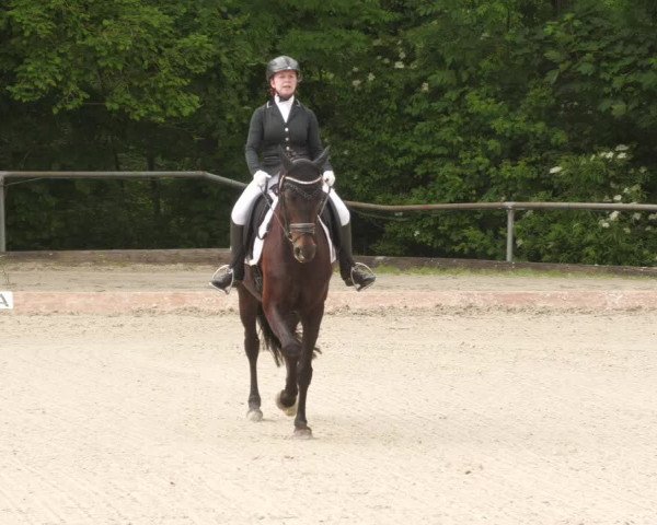 Reitturnier Leingarten 2022