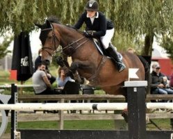 jumper Lady Gaga E (Belgian Warmblood, 2011, from Fidjy of Colors)