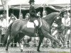 broodmare Gudula S (KWPN (Royal Dutch Sporthorse), 1988, from Grosso Z)