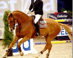 stallion Opan (KWPN (Royal Dutch Sporthorse), 1996, from Peter Pan)