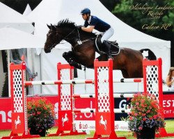 jumper Calaco - Rp (Oldenburg, 2012, from Catoo)