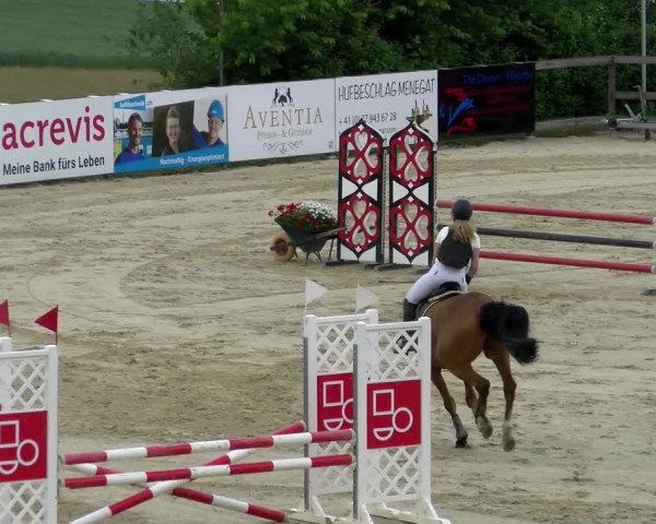 Reitturnier Wädenswil 2022
