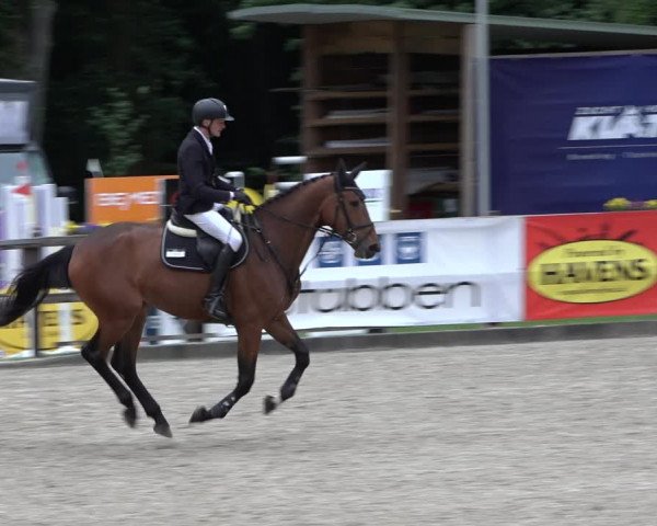 Reitturnier Klein Roscharden 2022