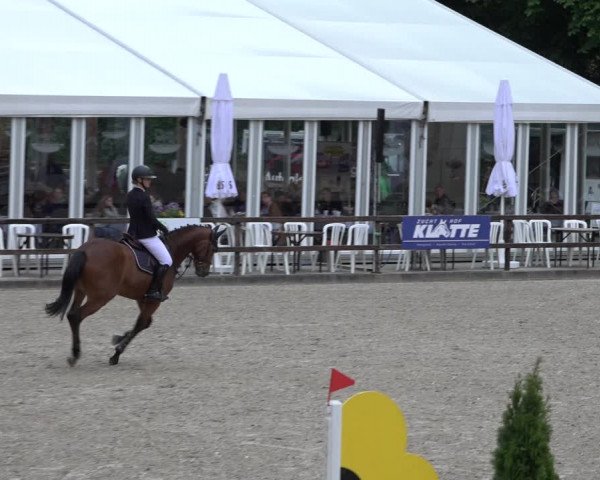 Reitturnier Klein Roscharden 2022