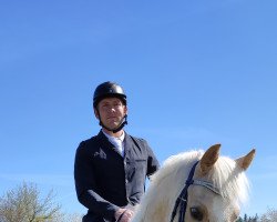 Springpferd Fury In Gold (Deutsches Reitpony, 2016, von Fiorano)