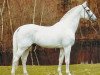 Pferd Roderik (Holsteiner, 1985, von Renomee)