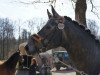 Springpferd Birkenhof's Carlos D (Württemberger, 2009, von Chucas)