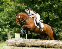 dressage horse Farah-Lea (Oldenburg, 2007, from Dr Doolittle 45)