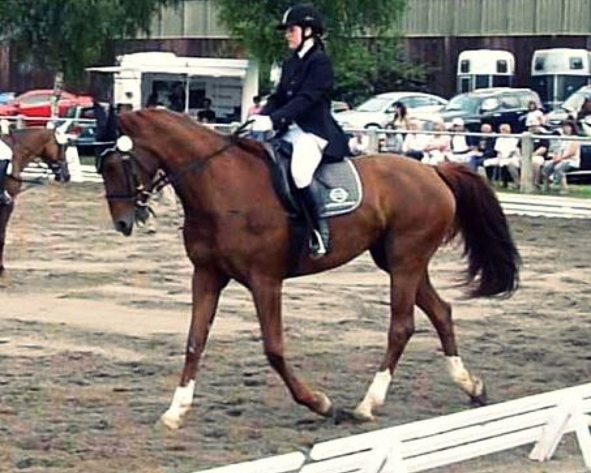 horse Fame (Zweibrücken, 1997, from Florial)