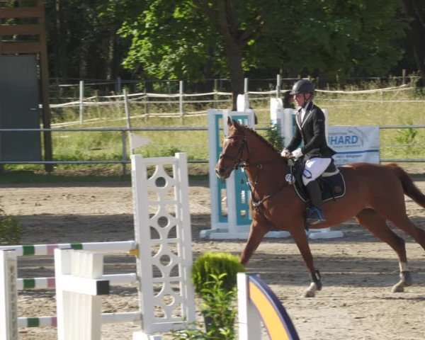 Reitturnier Billigheim 2022