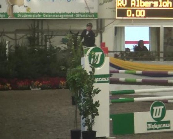 jumper For You 50 (Hanoverian, 2008, from For Edition)