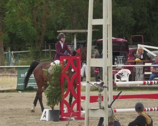 Reitturnier Billigheim 2022
