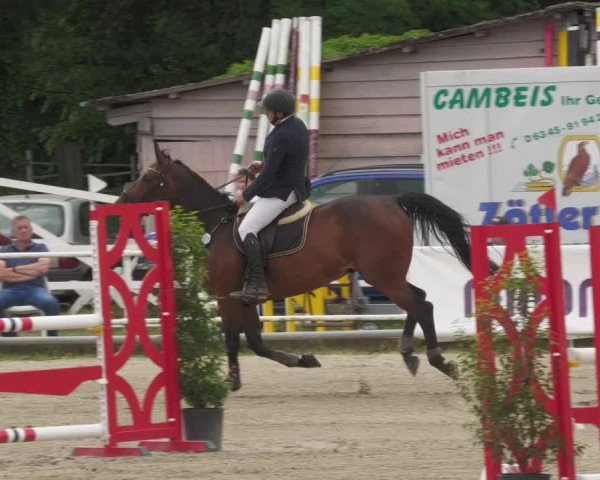 Reitturnier Billigheim 2022
