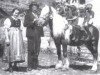 stallion 356/72 Hirn Mandl I (Haflinger, 1912, from liz. 42 Mandl)