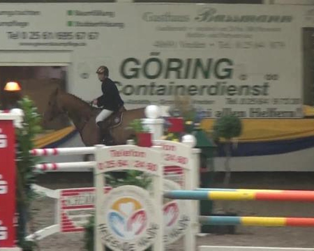 broodmare Lasandra 11 (Hanoverian, 2003, from Landor S)