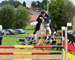 Springpferd Chica Valiente (Deutsches Reitpony, 2009, von Bol.Titano M.)