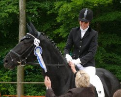 dressage horse Sambuco 30 (Württemberger, 2006, from Sunny-Boy)