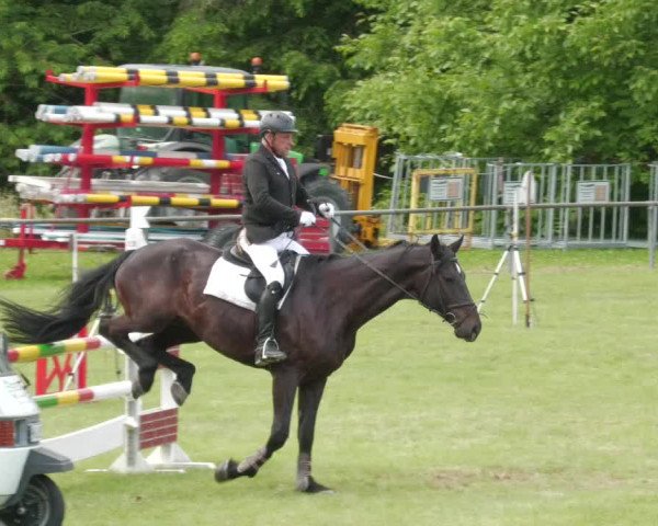 Reitturnier Leingarten 2022