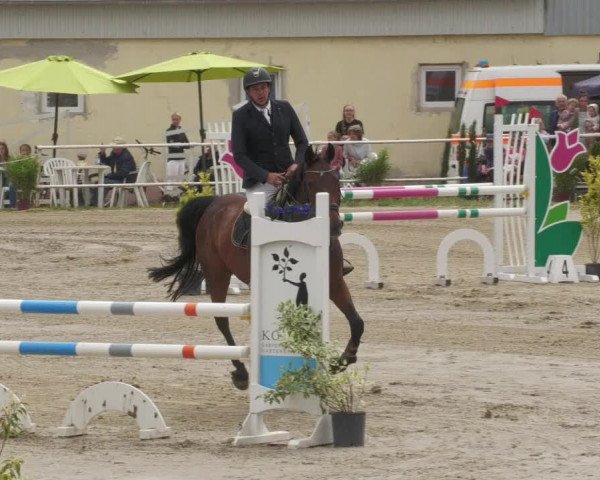 Reitturnier Billigheim 2022