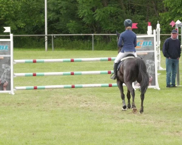 Reitturnier Leingarten 2022