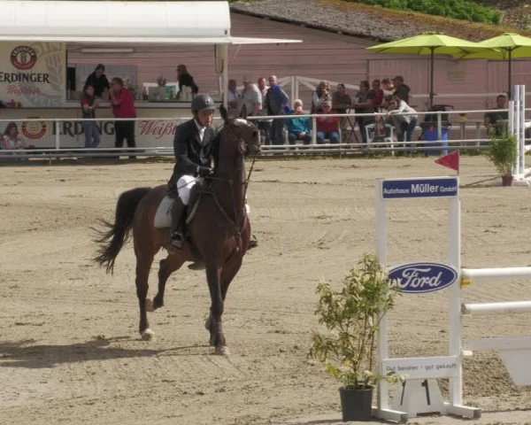 Reitturnier Billigheim 2022