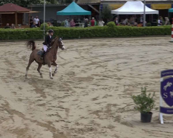 Reitturnier Bornheim-Widdig 2022