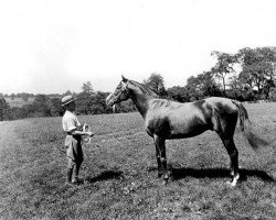 Deckhengst Epinard xx (Englisches Vollblut, 1920, von Badajoz xx)