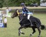 jumper Kalinka 243 (German Riding Pony, 2009, from Kadenzzo)