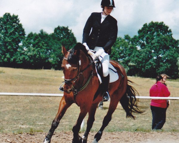 horse Delarco (Trakehner, 2002, from Lamarc)