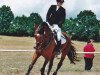 horse Delarco (Trakehner, 2002, from Lamarc)