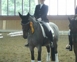 Zuchtstute Dörnberg's Ebony (Deutsches Reitpony, 1994, von Ernesto)