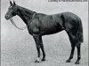 broodmare Pretty Polly xx (Thoroughbred, 1901, from Gallinule xx)