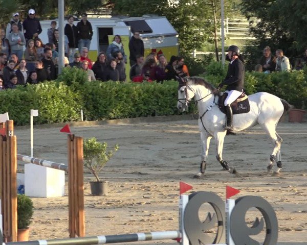 Reitturnier Bornheim-Widdig 2022