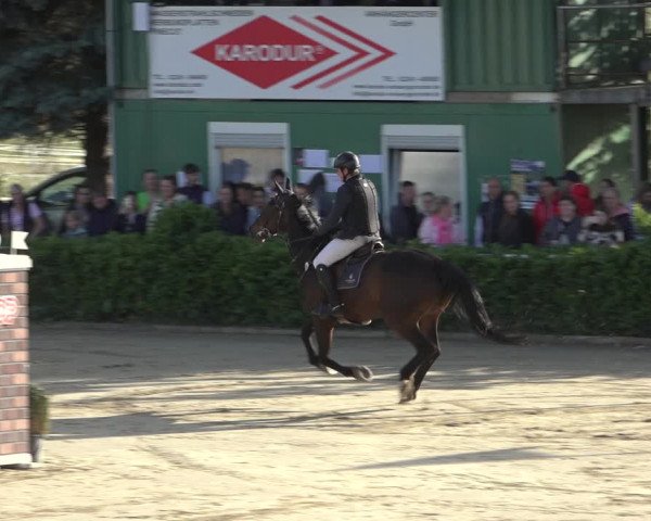 Reitturnier Bornheim-Widdig 2022