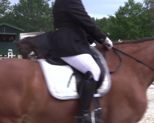 Reitturnier Hamm-Rhynern 2022