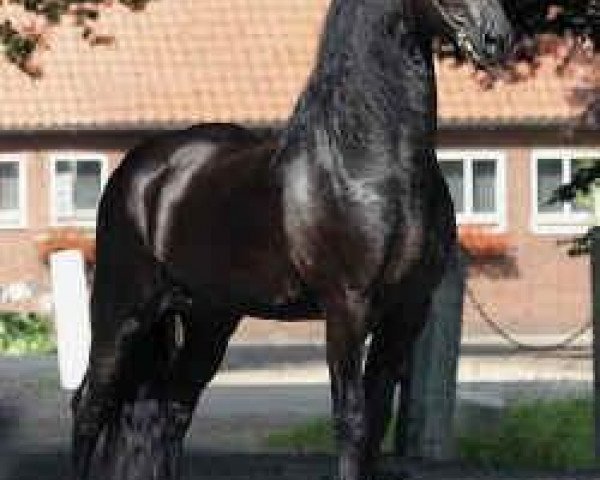stallion Wierd 409 (Friese, 1999, from Folkert 353 Sport)