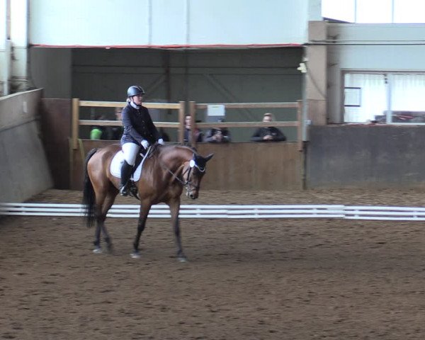 Reitturnier Kakerbeck 2022