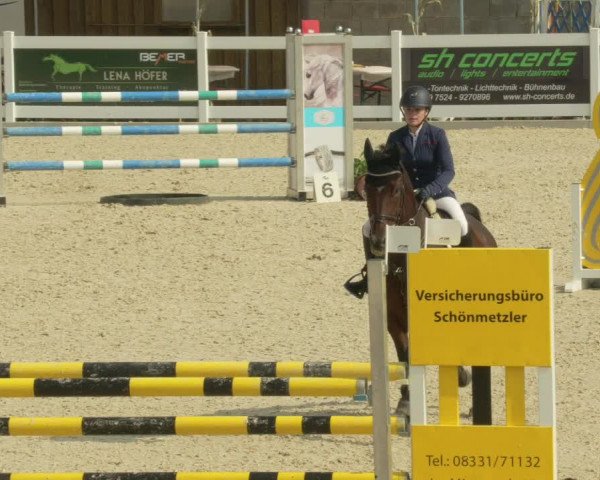 Springturnier Memmingen 2021