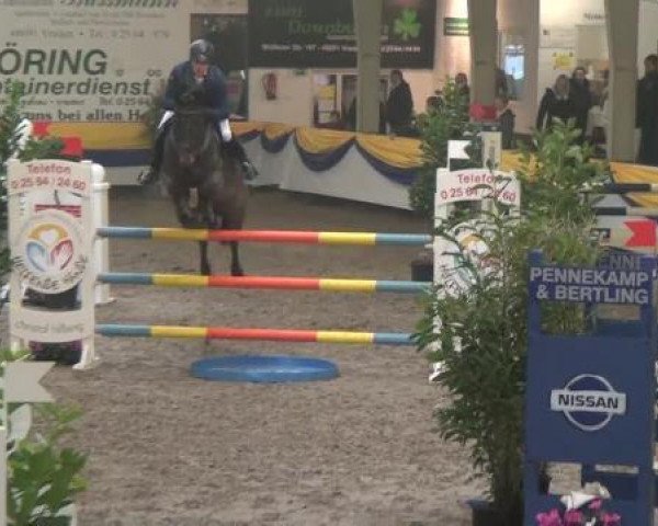 jumper Glenn Jaro (German Sport Horse, 2003, from Glenn Mentino)